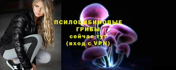 МДПВ Армянск