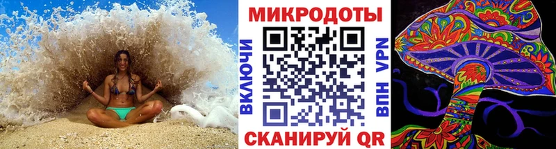 Галлюциногенные грибы Psilocybe  продажа наркотиков  Свободный 